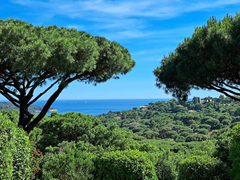 VEROOP  Villa 4 SLPK La CROIX-VALMER - Gigaro / OFF MARKET