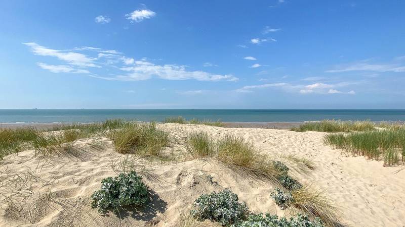 VERKOOP  Appartement 4 SLPK Knokke-Zoute -  Negresco / Wandeldijk Zoute