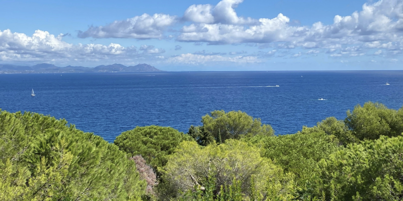 VERKOOP Villa 5 SLPK - LES PARCS DE SAINT-TROPEZ - SAINT-TROPEZ